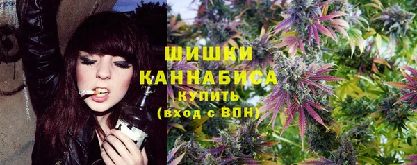 крисы Инсар