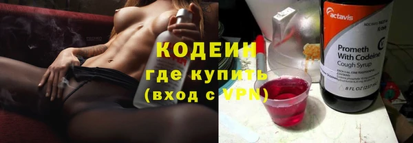 PSILOCYBIN Каменка