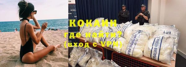 крисы Инсар