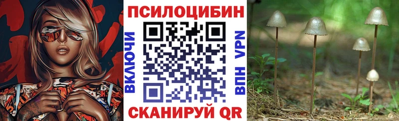 Псилоцибиновые грибы Magic Shrooms  Купить где  Нея 